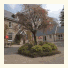 Gellifawr Country Hotel photo