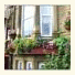 Belle View photo