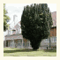 Louisa Lodge & Purbeck House Hotel photo