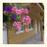 Square And Compass Stables photo