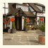 Rose & Crown