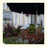 The Beverley Hotel photo