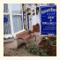 Storrbeck Guest House photo