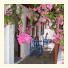 Dream Villa photo