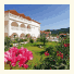 Hotel Plessas Palace photo