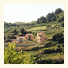 Eliathos Residence Houses