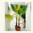 Acropolis Ami Boutique Hotel
