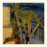 Hotel Solomou photo