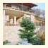 Guesthouse Irida