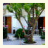 Connection Benitses Hotel photo