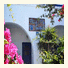Villa Gambas photo