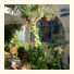Villa Nimfea photo