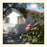 Pension Zoi photo