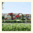 Malia Studios Hotel-Apartments photo