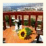Hotel Charissi photo