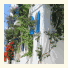 Galini Hotel photo