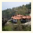 Kastania Gi photo