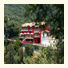 Palatino Hotel photo