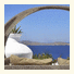 Apsenti couples only - Mykonos photo