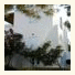 Eleni's Studios Ornos photo