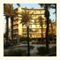 Als City Hotel photo