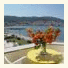 Seaview Hotel photo