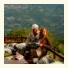 Pleiadon Gi Mountain Resort & Spa photo