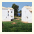 Kleopatra Villas - Seaside Suites photo