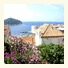 Adriatic Apartments photo