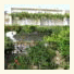 Apartments Beslema photo