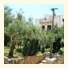 Apartments Travarevic photo
