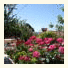 Dino and Jele Apartments photo