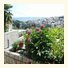 Guesthouse Petrusic photo