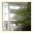 Apartments Begic photo