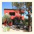 Apartments Oliveto photo