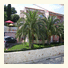 Apartments Palms photo