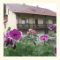 Villa Katja photo