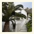 Apartments Viduman photo