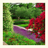 Tourist Resort Velaris