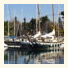 Apartments Marina photo