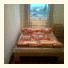 B&B Young Pest photo