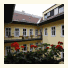 City Guesthouse Flora photo