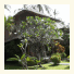 Coral View Villas photo