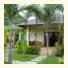 Pazzo Bali photo
