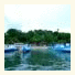 Froggies Divers Resort