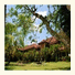 Dhyana Pura Beach Resort photo