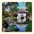 Mimosa Resort & Spa, Jimbaran photo