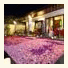 Lavender Luxury Resort & Spa photo