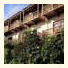 Novus Puncak Resort & Spa