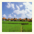 Villa Chempaka photo